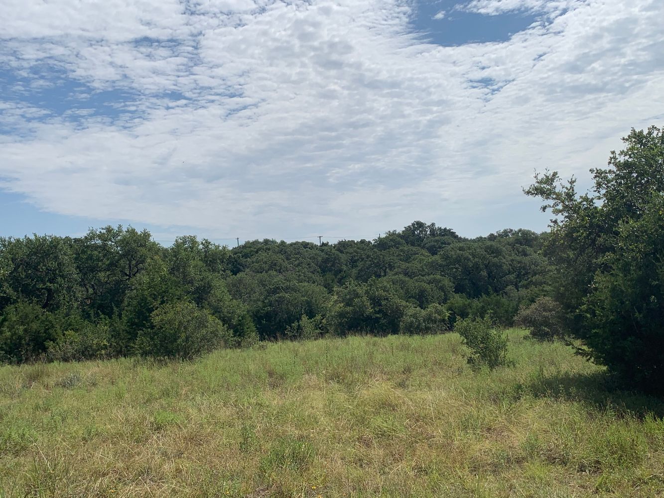 part of edmond ranch: 000 FM 32, Blanco, TX 78606